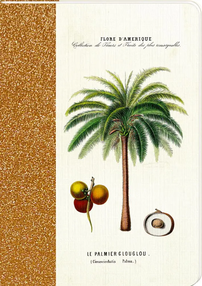 Cover: 4050003725802 | Notizhefte DIN A6 | Sammlung Augustina | Blankobuch/Tagebuch | 48 S.