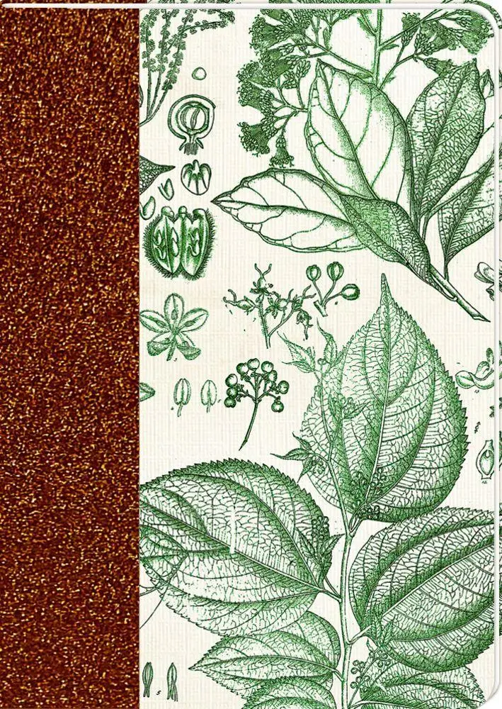 Bild: 4050003725802 | Notizhefte DIN A6 | Sammlung Augustina | Blankobuch/Tagebuch | 48 S.