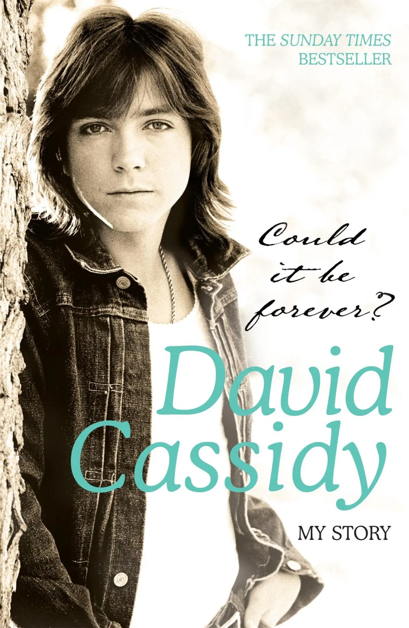 Headline Could It Be Forever? My Story