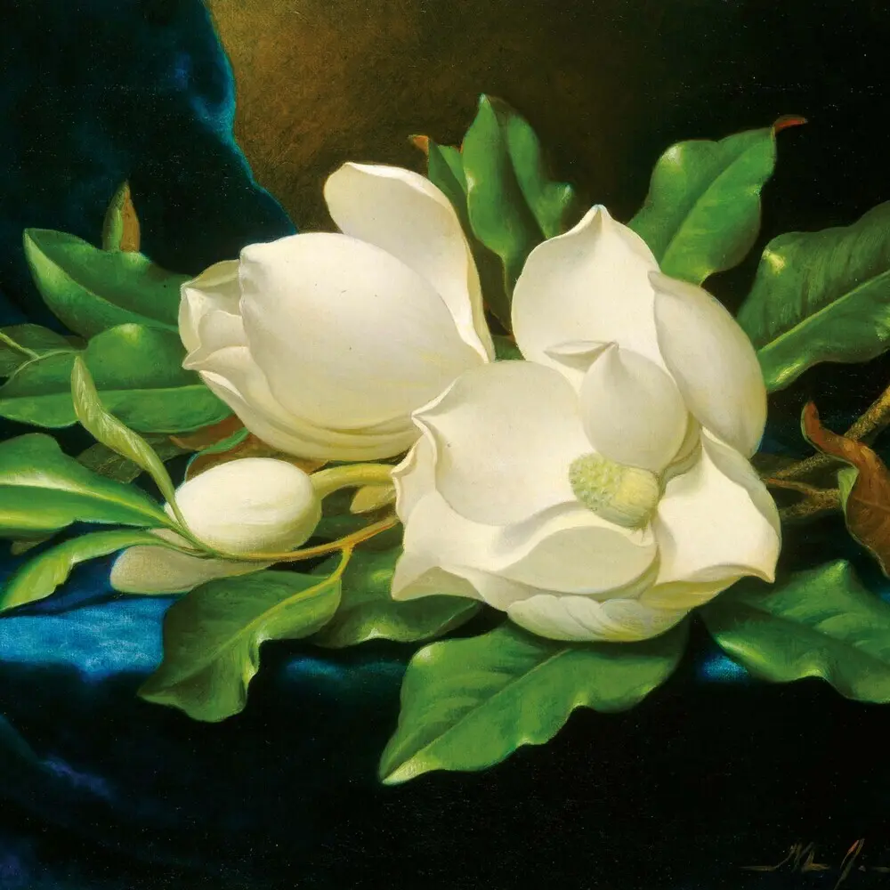 Bild: 9783959295802 | Flowers in Art 2026 | Kalender 2026 | Kalender | Drahtheftung | 2026