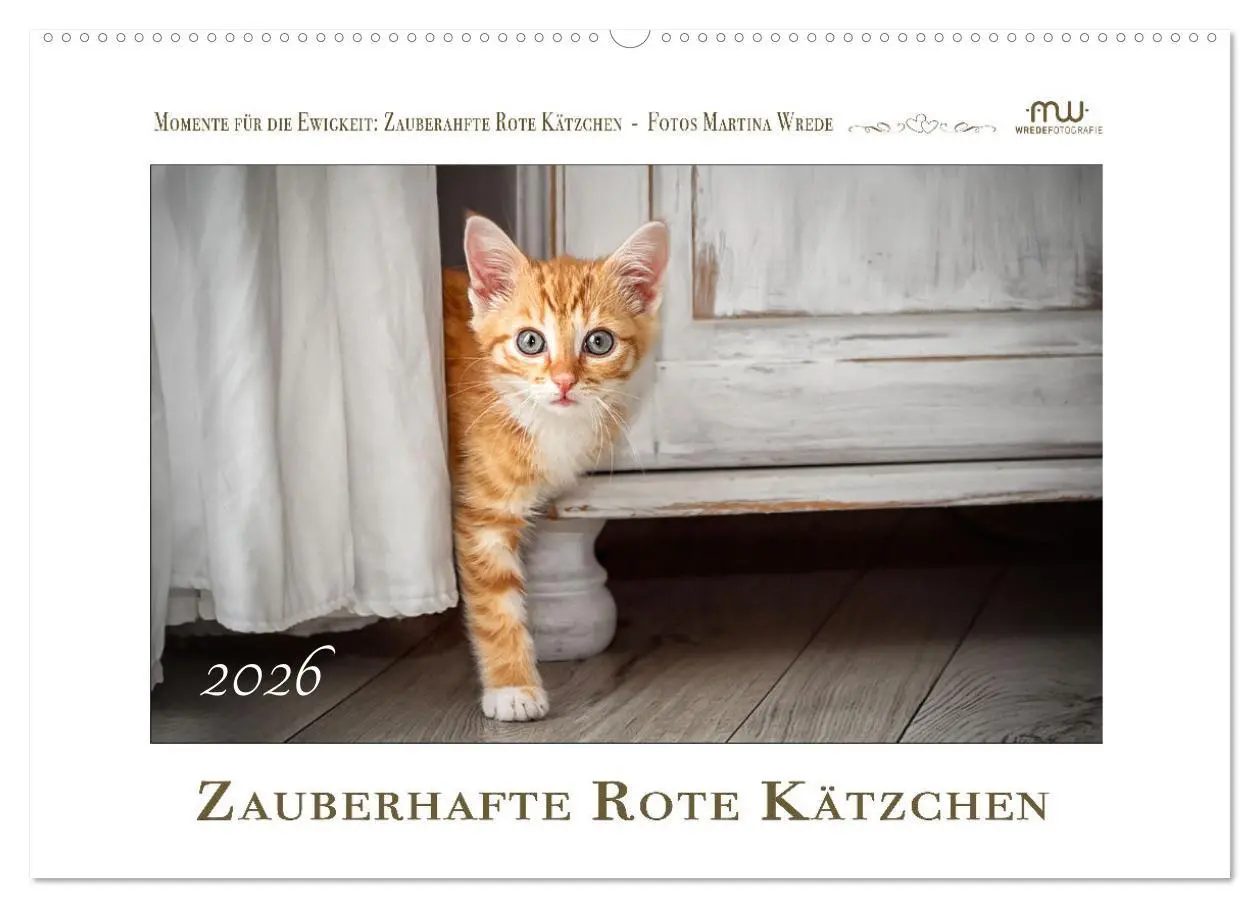 Cover: 9783457255902 | Zauberhafte rote Kätzchen (Wandkalender 2026 DIN A2 quer), CALVENDO...