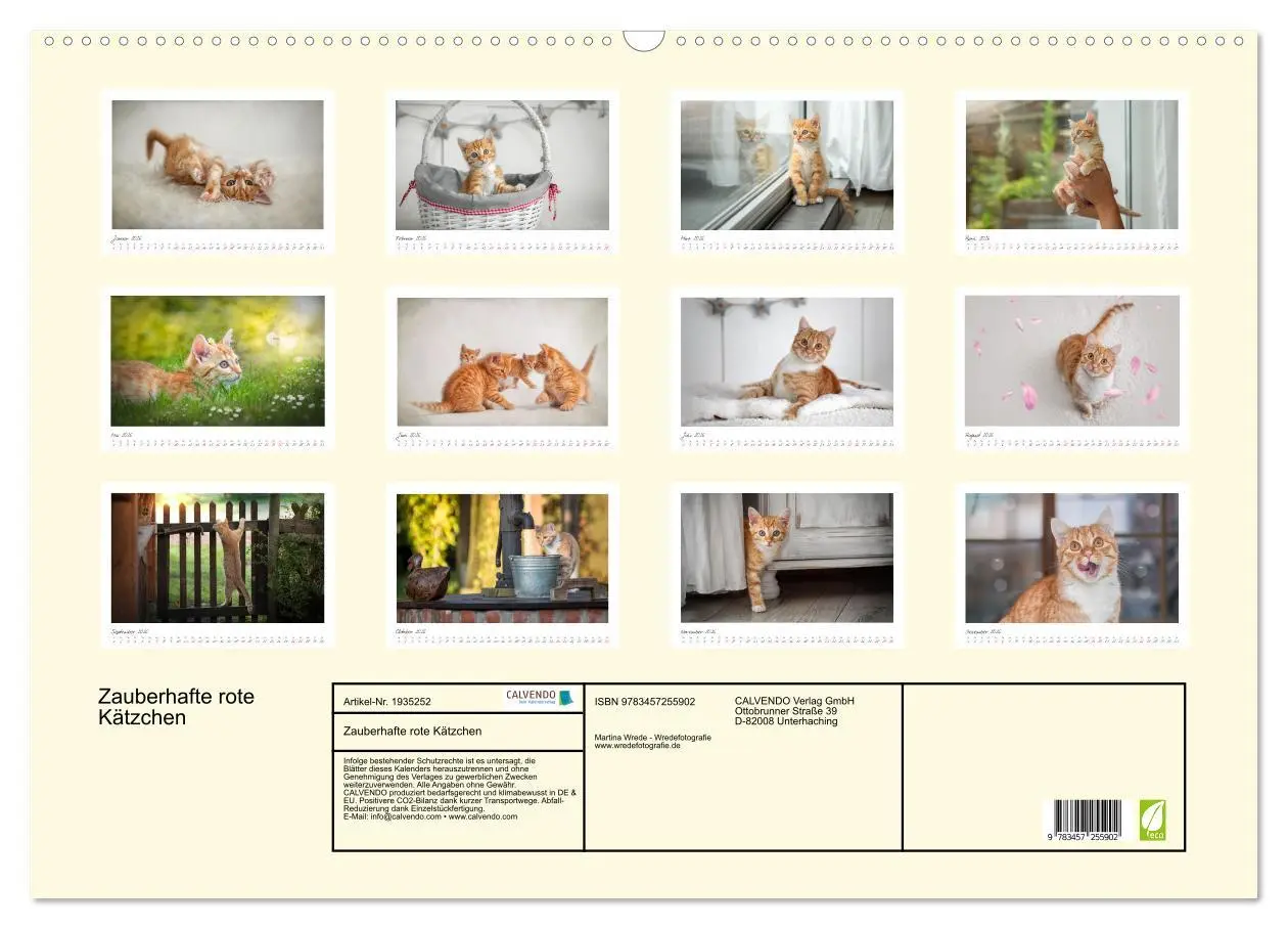 Bild: 9783457255902 | Zauberhafte rote Kätzchen (Wandkalender 2026 DIN A2 quer), CALVENDO...