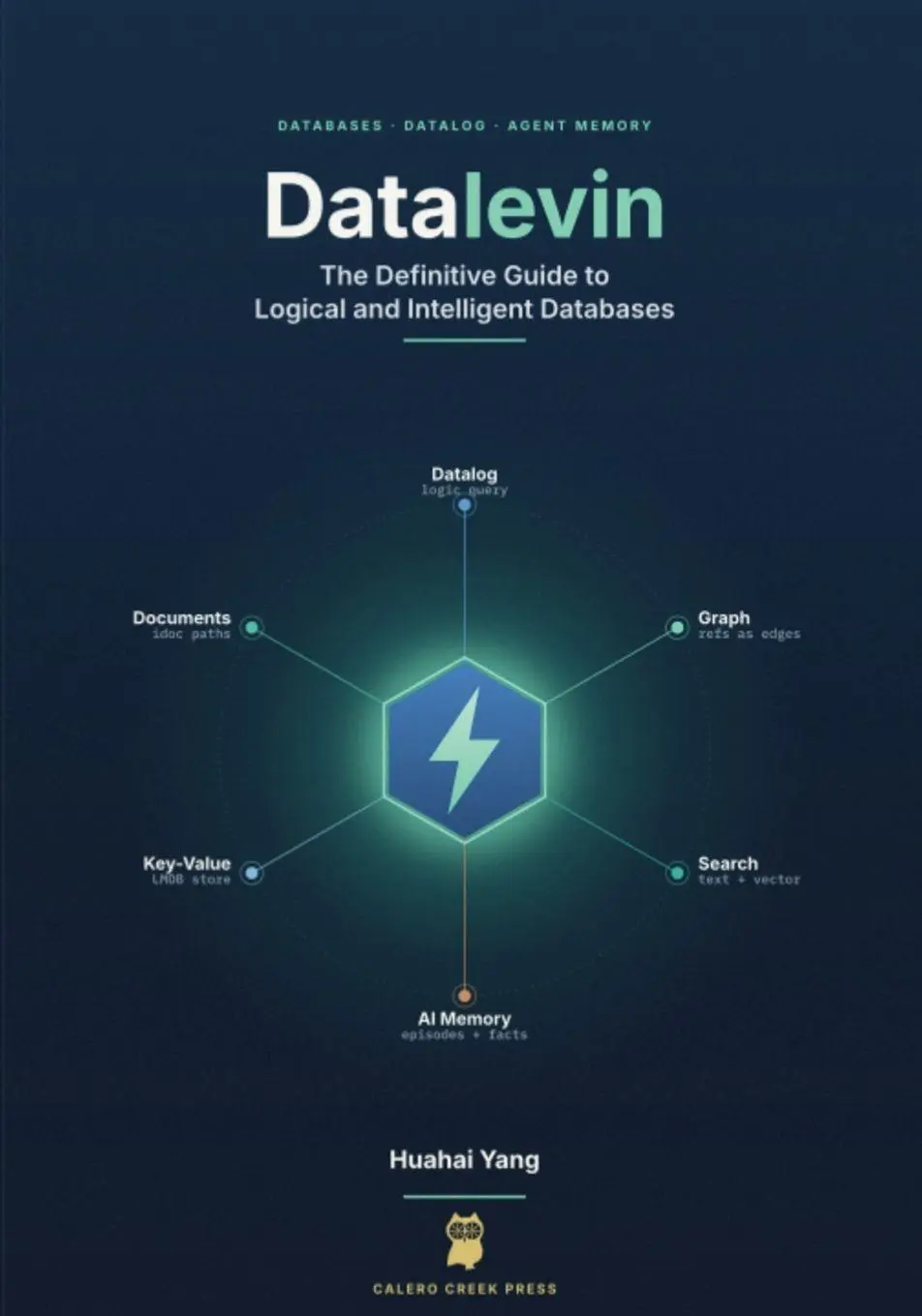 Cover: 9798996235902 | Datalevin | The Definitive Guide to Logical and Intelligent Databases