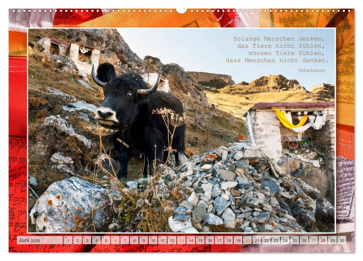 Bild: 9783457696002 | Farben Tibets (hochwertiger Premium Wandkalender 2026 DIN A2 quer),...