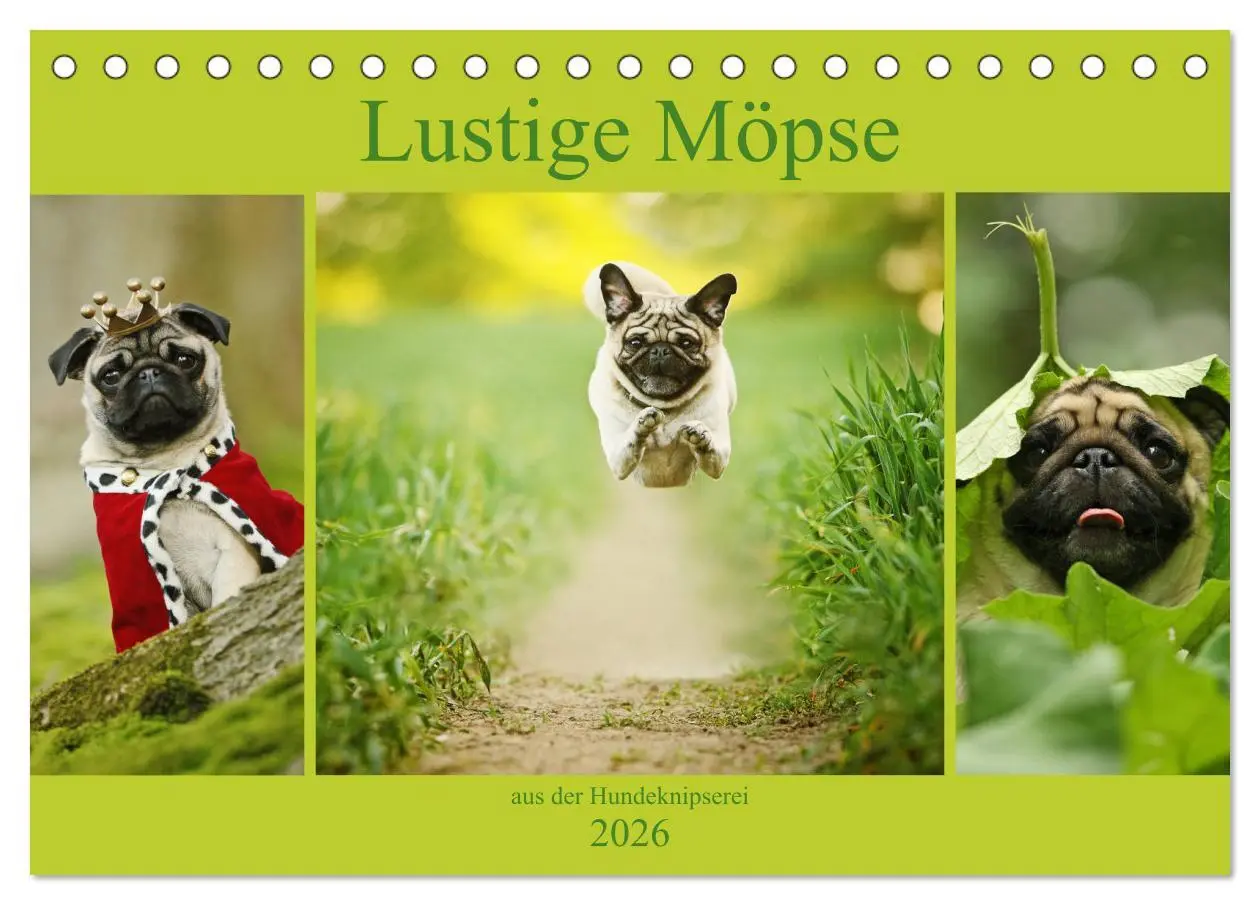 Cover: 9783457766002 | Lustige Möpse aus der Hundeknipserei (Tischkalender 2026 DIN A5...