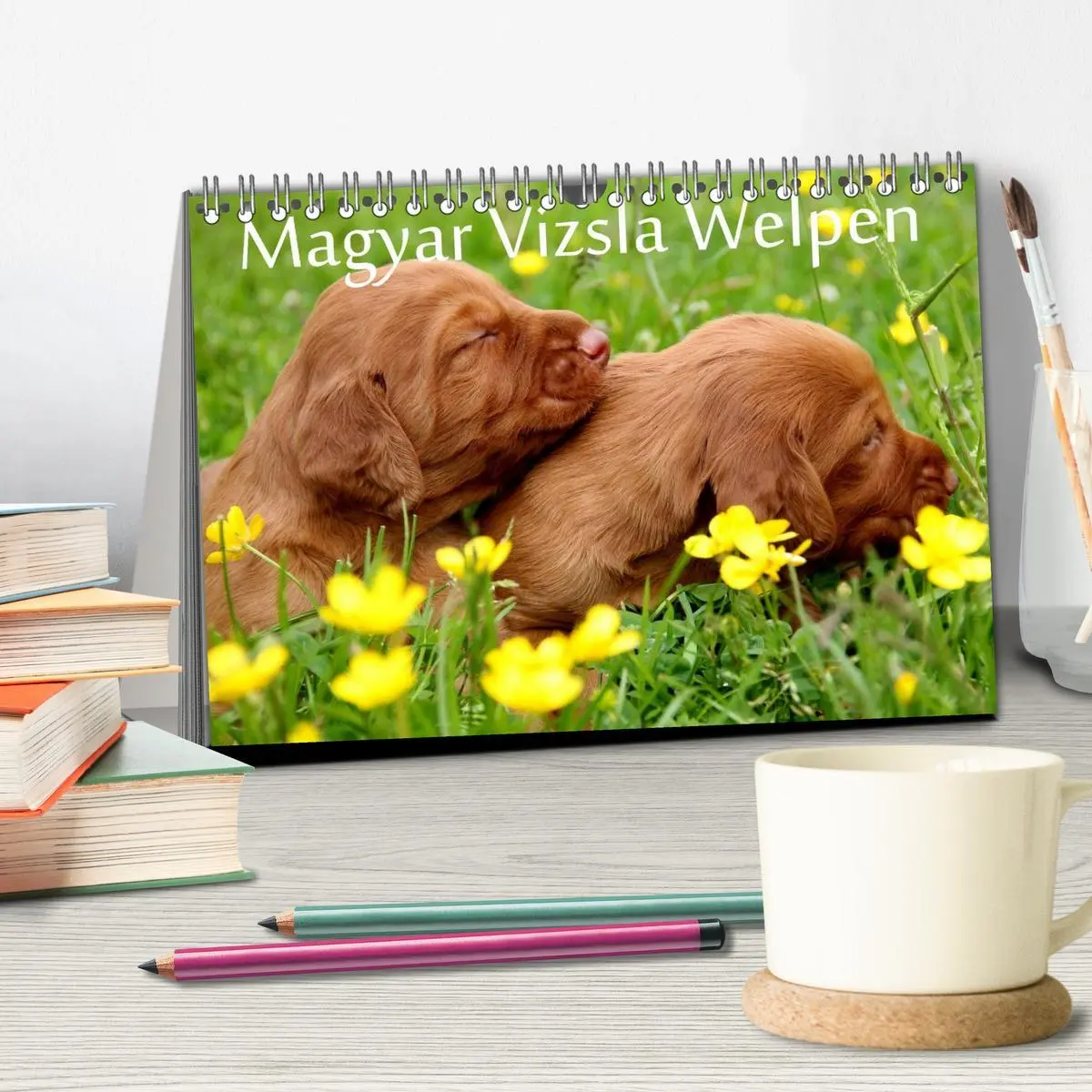 Bild: 9783516166002 | Magyar Vizsla Welpen (Tischkalender 2026 DIN A5 quer), CALVENDO...