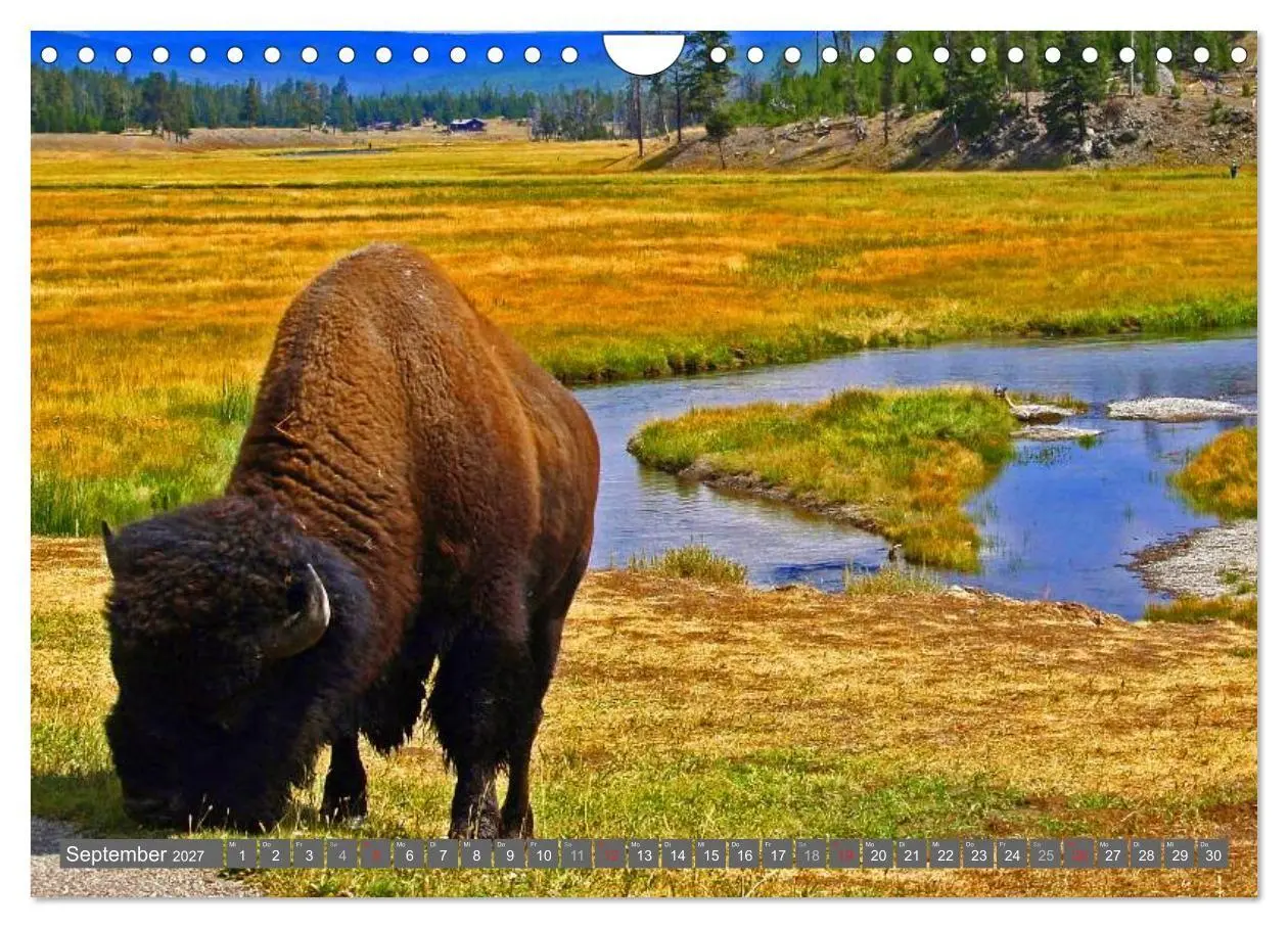Bild: 9783594146002 | Wyoming ¿ Impressionen (Wandkalender 2027 DIN A4 quer), CALVENDO...