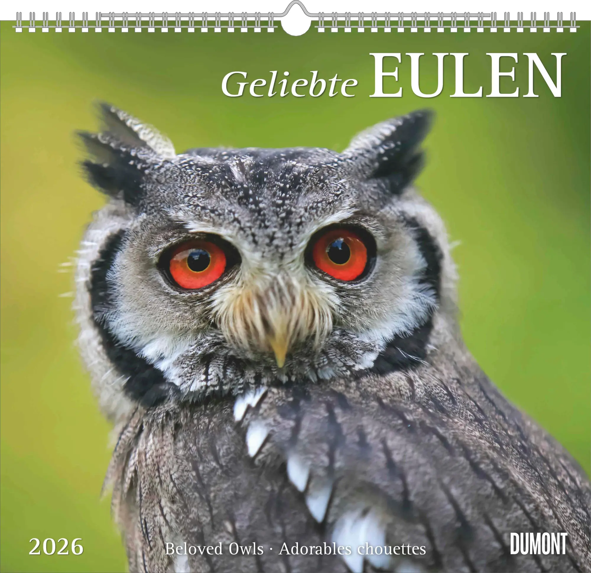 Cover: 4069095006102 | Geliebte Eulen 2026 - DUMONT Wandkalender - mit den wichtigsten...