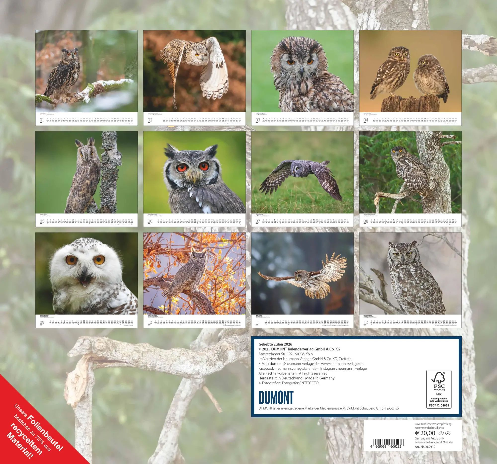 Rückseite: 4069095006102 | Geliebte Eulen 2026 - DUMONT Wandkalender - mit den wichtigsten...