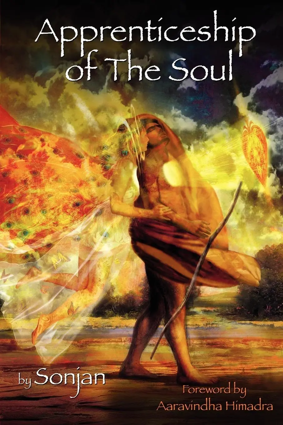 Cover: 9781893486102 | Apprenticeship of the Soul | David Christopher McCombs | Taschenbuch