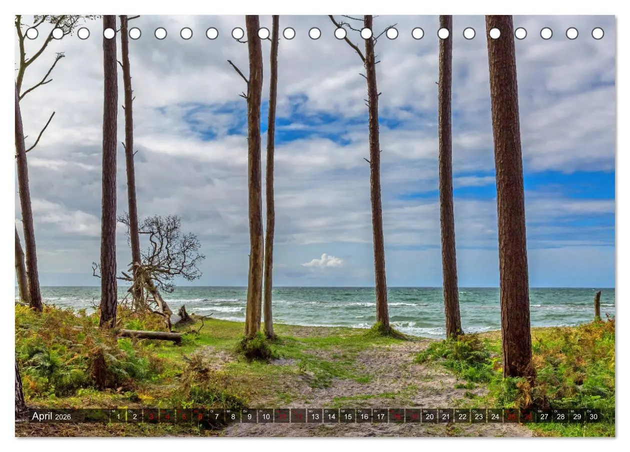 Bild: 9783457756102 | Impressionen von der Ostsee Fischland-Darß-Zingst (Tischkalender...