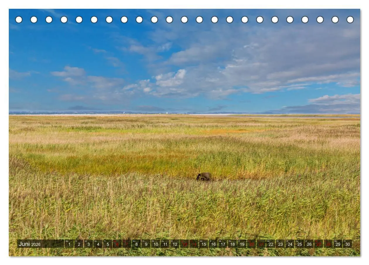Bild: 9783457756102 | Impressionen von der Ostsee Fischland-Darß-Zingst (Tischkalender...
