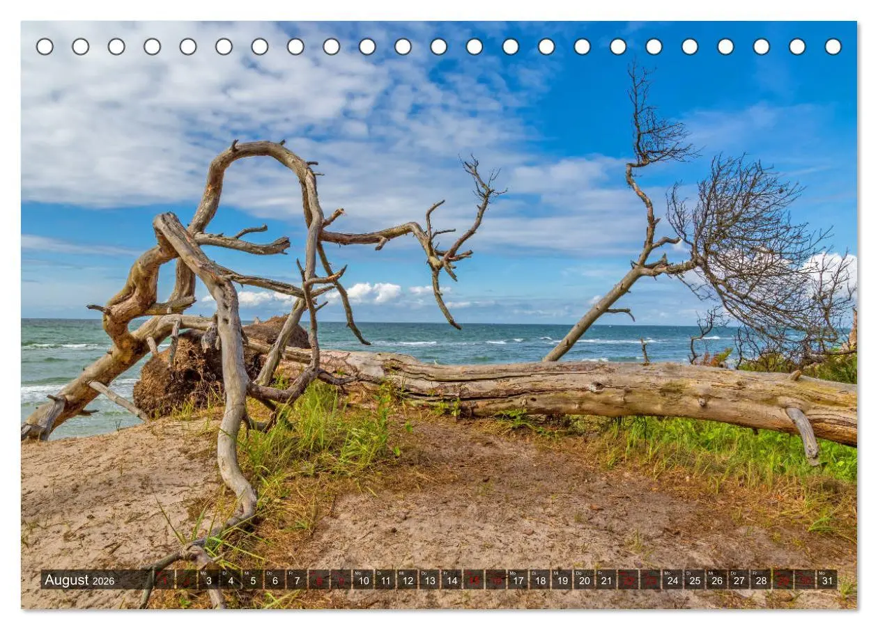 Bild: 9783457756102 | Impressionen von der Ostsee Fischland-Darß-Zingst (Tischkalender...