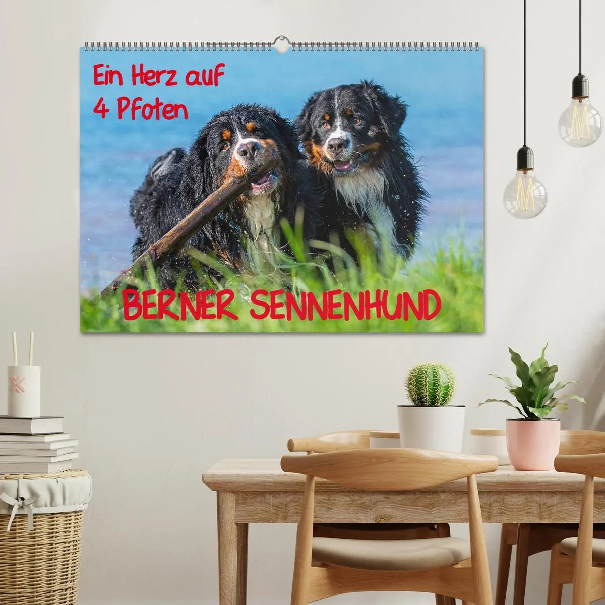 Bild: 9783457826102 | Ein Herz auf 4 Pfoten - Berner Sennenhund (Wandkalender 2026 DIN A2...