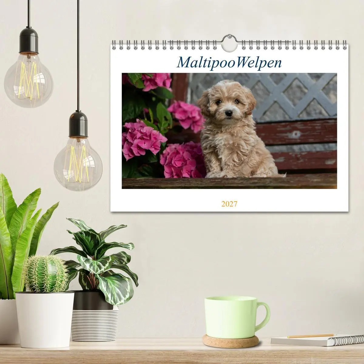 Bild: 9783569486102 | Maltipoo Welpen (Wandkalender 2027 DIN A4 quer), CALVENDO...