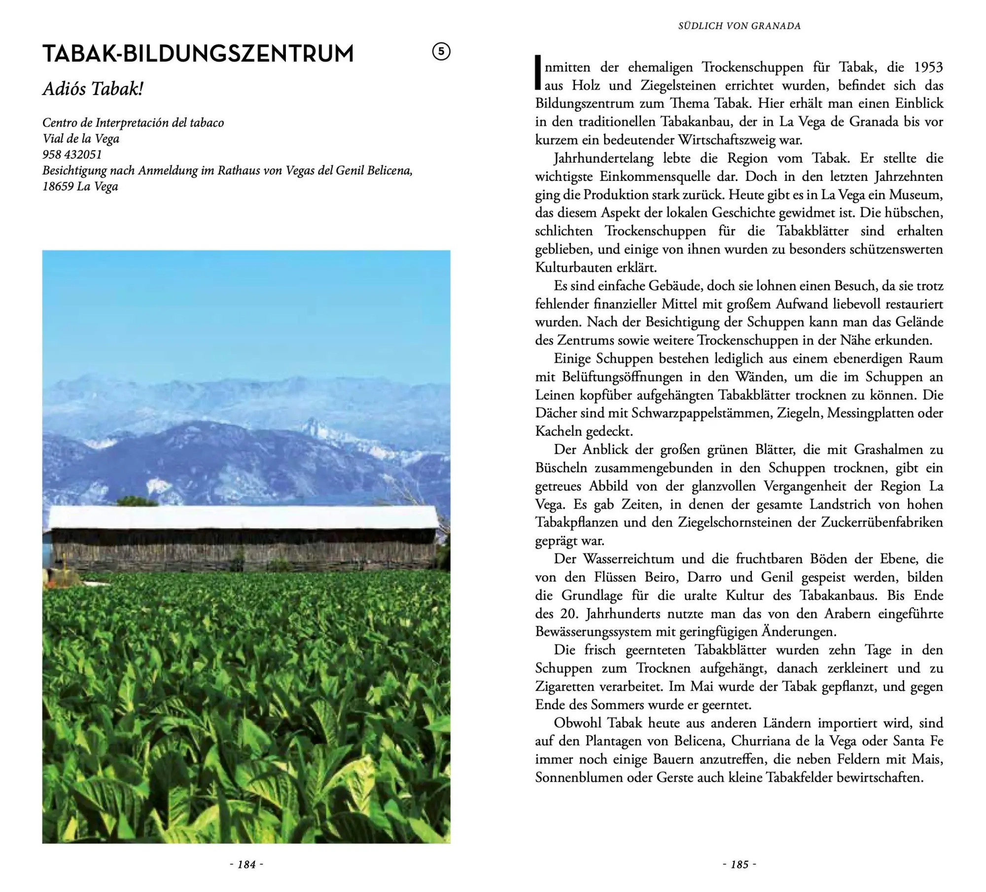 Bild: 9782361956202 | Verborgenes Granada | Cesar Requesens | Taschenbuch | Verborgenes