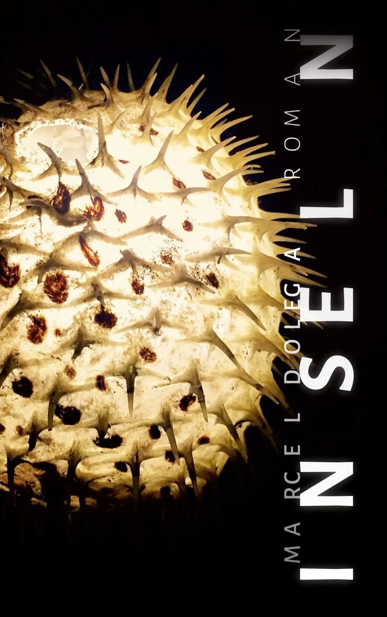 Cover: 9783937376202 | Inseln | Marcel Dolega | Taschenbuch | 302 S. | Deutsch | 2026
