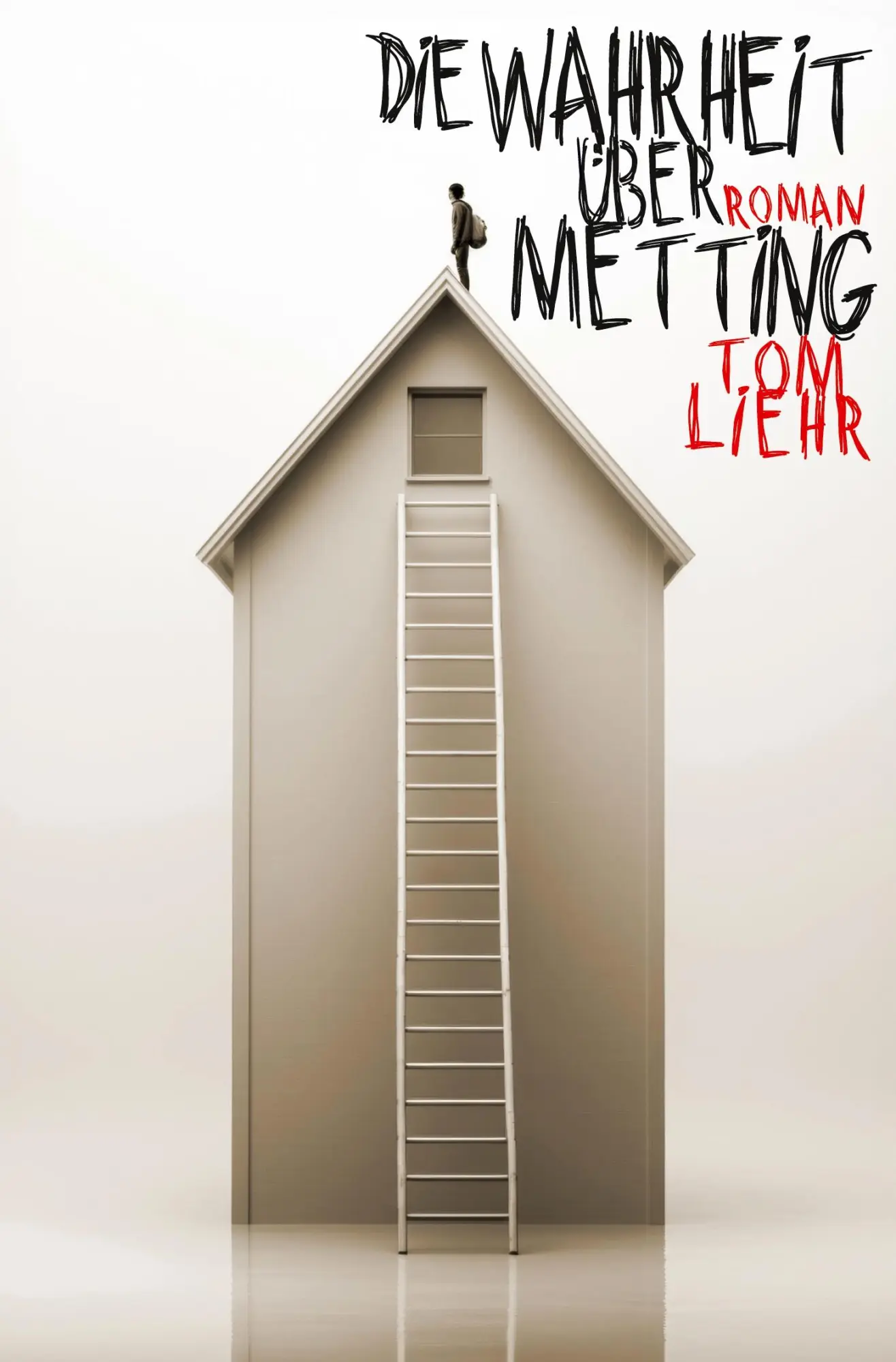 Cover: 9783384616302 | Die Wahrheit über Metting | Tom Liehr | Taschenbuch | 368 S. | Deutsch