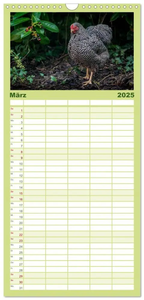 Bild: 9783457116302 | Familienplaner 2025 - Gartenhühner mit 5 Spalten (Wandkalender, 21...