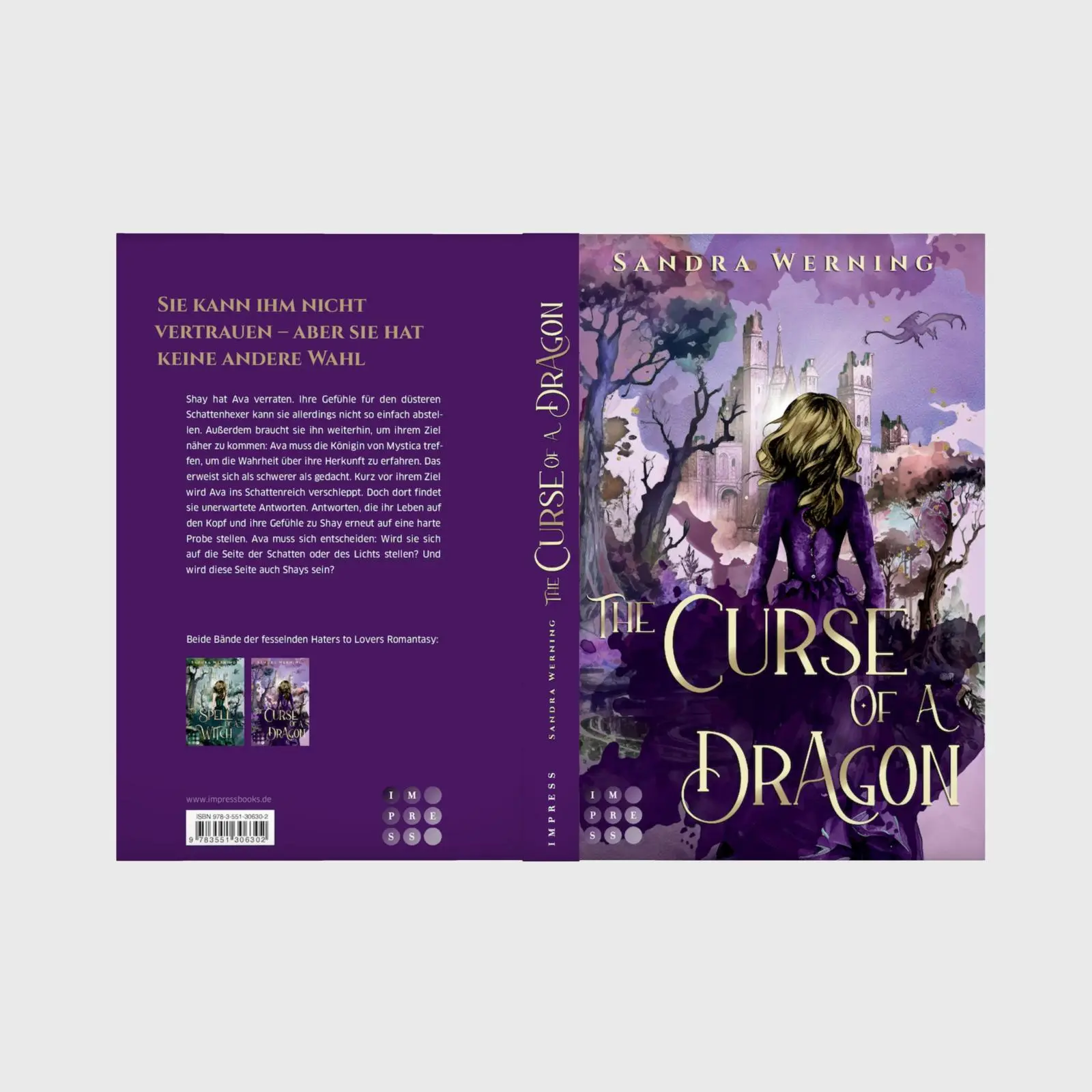 Bild: 9783551306302 | The Curse of a Dragon (The Spell of a Witch 2) | Sandra Werning | Buch
