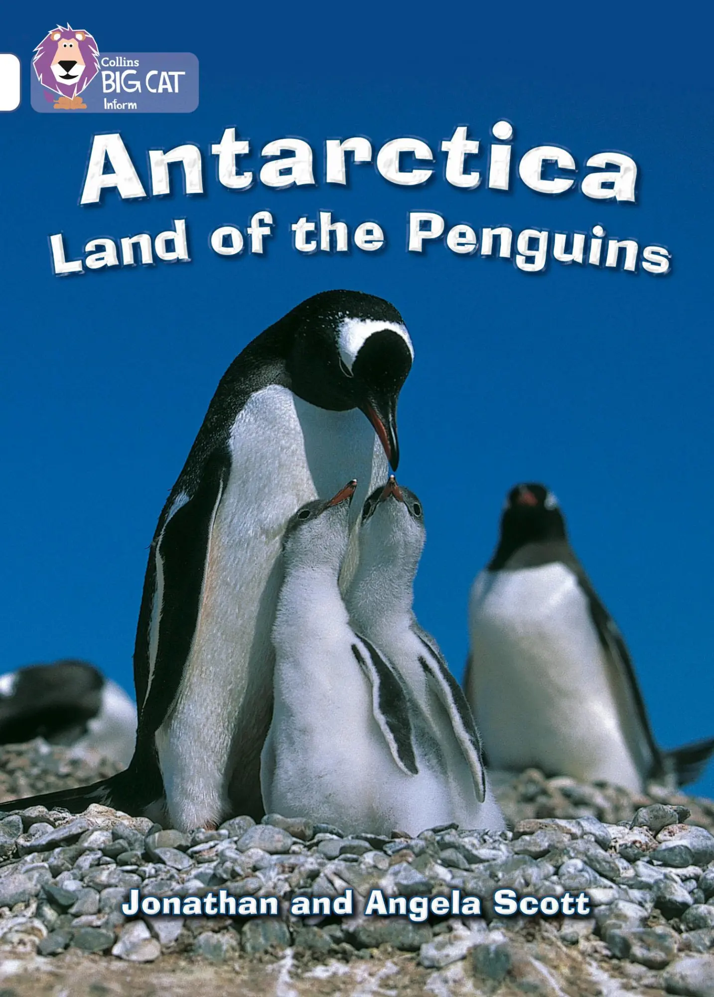 Cover: 9780007186402 | Antarctica: Land of the Penguins | Band 10/White | Scott (u. a.)