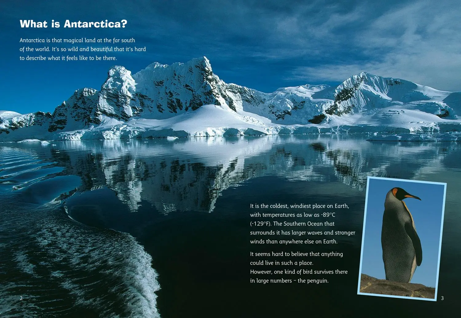 Bild: 9780007186402 | Antarctica: Land of the Penguins | Band 10/White | Scott (u. a.)