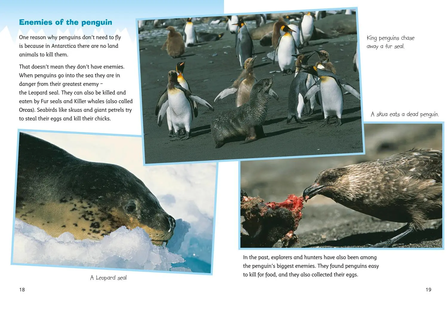 Bild: 9780007186402 | Antarctica: Land of the Penguins | Band 10/White | Scott (u. a.)
