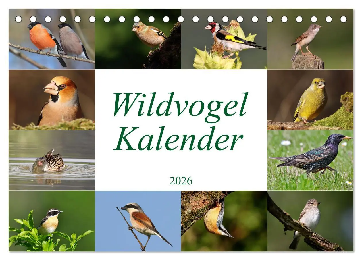 Cover: 9783457416402 | Wildvogelkalender (Tischkalender 2026 DIN A5 quer), CALVENDO...