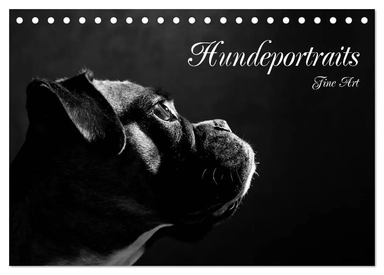 Cover: 9783457896402 | Hundeportraits Fine Art (Tischkalender 2026 DIN A5 quer), CALVENDO...