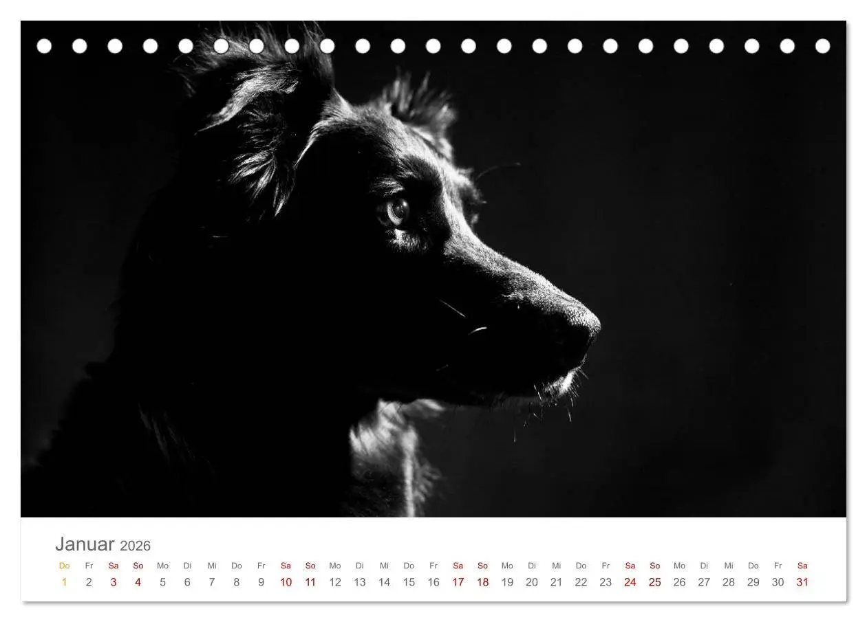 Bild: 9783457896402 | Hundeportraits Fine Art (Tischkalender 2026 DIN A5 quer), CALVENDO...