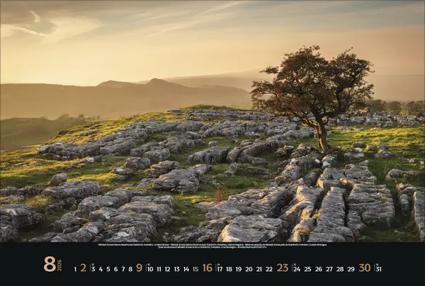 Bild: 9783731886402 | Nordische Impressionen 2026 | Korsch Verlag | Kalender | Spiralbindung