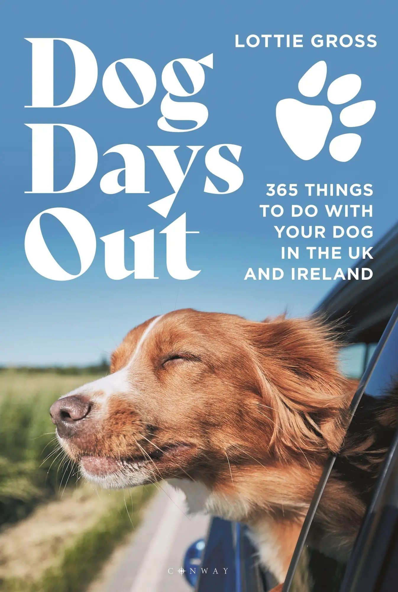Cover: 9781844866502 | Dog Days Out | 365 things to do with your dog in the UK and Ireland