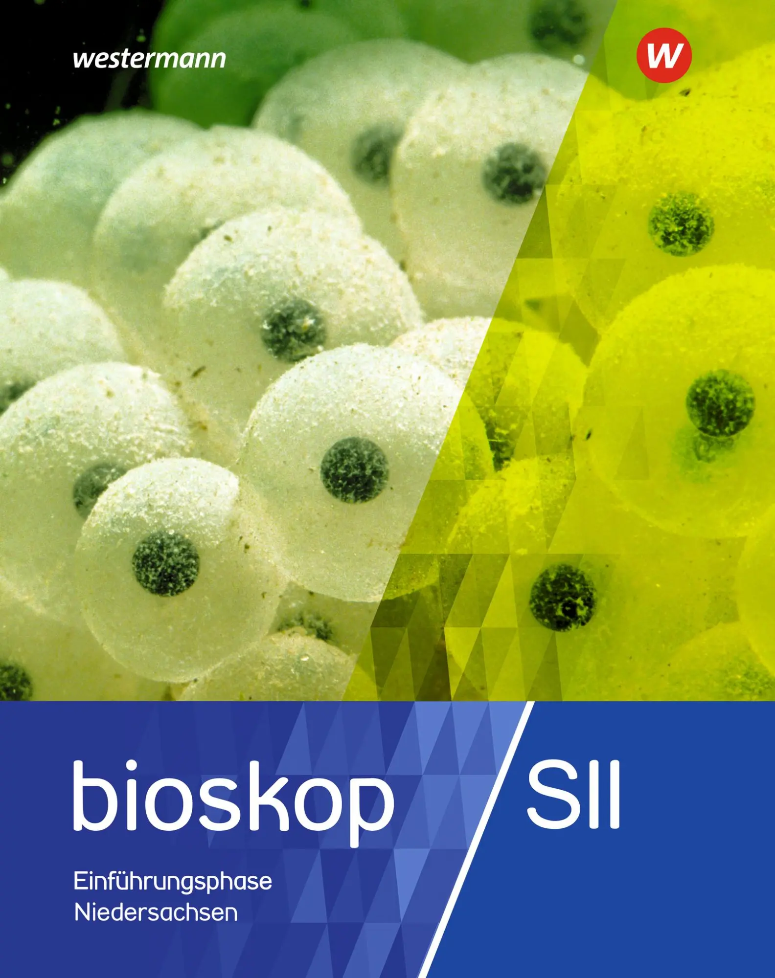 Cover: 9783141596502 | bioskop SII 11. Schulbuch. Niedersachsen | Jörn Peters | Buch | 136 S.