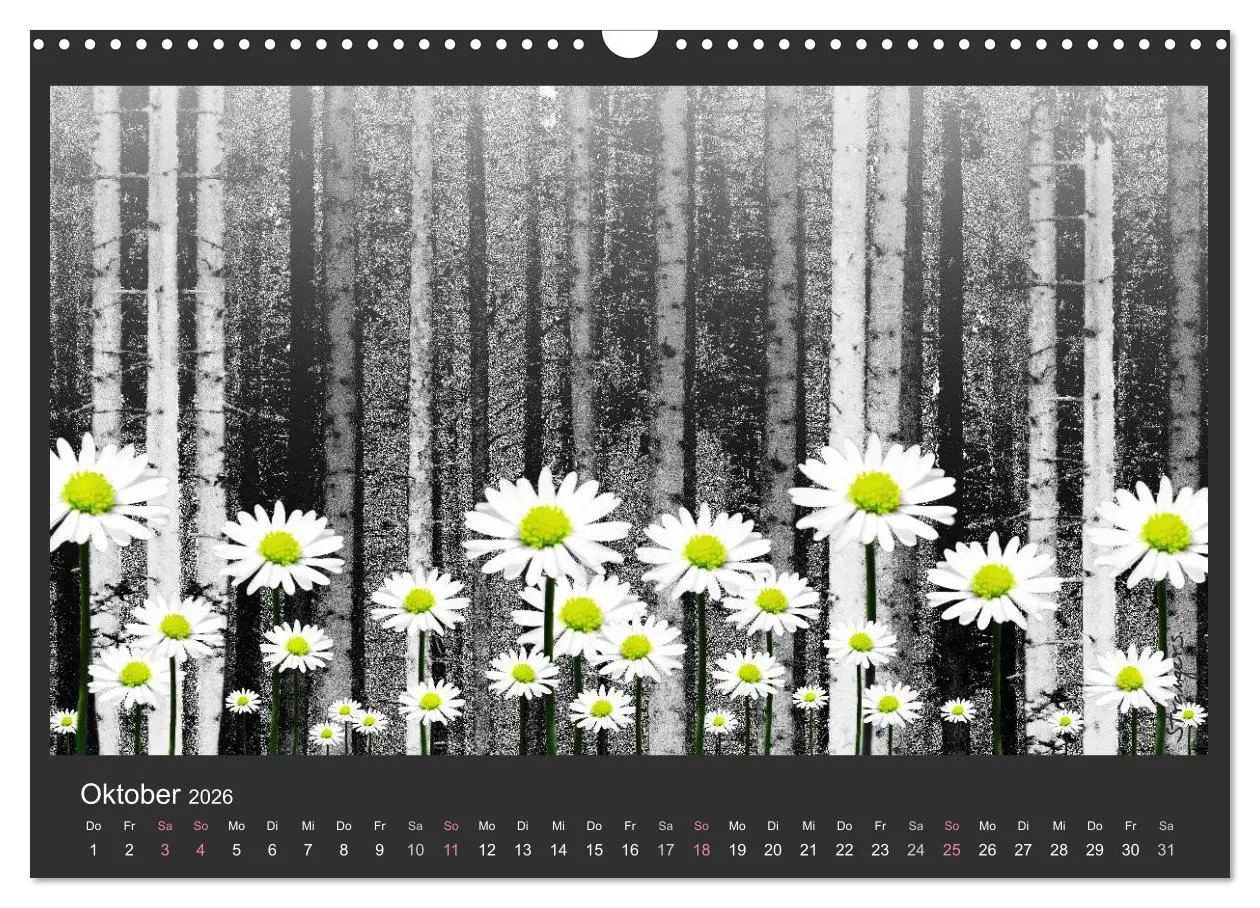 Bild: 9783516116502 | Schwarzwald. Anders. (Wandkalender 2026 DIN A3 quer), CALVENDO...