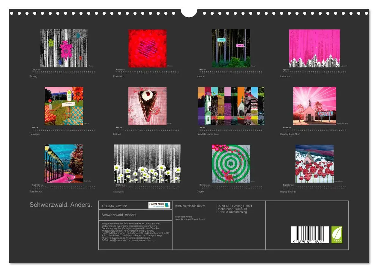 Bild: 9783516116502 | Schwarzwald. Anders. (Wandkalender 2026 DIN A3 quer), CALVENDO...