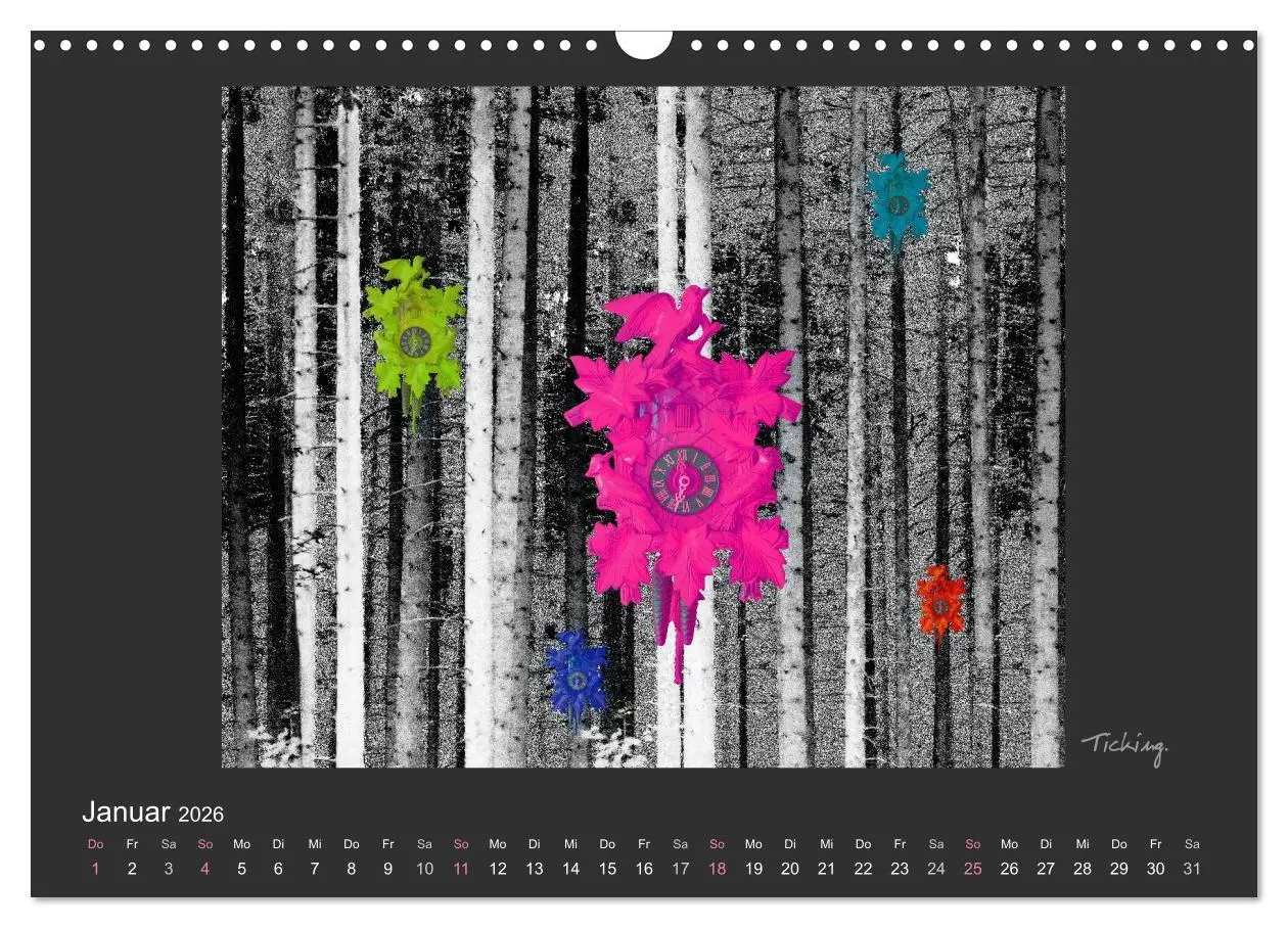 Bild: 9783516116502 | Schwarzwald. Anders. (Wandkalender 2026 DIN A3 quer), CALVENDO...