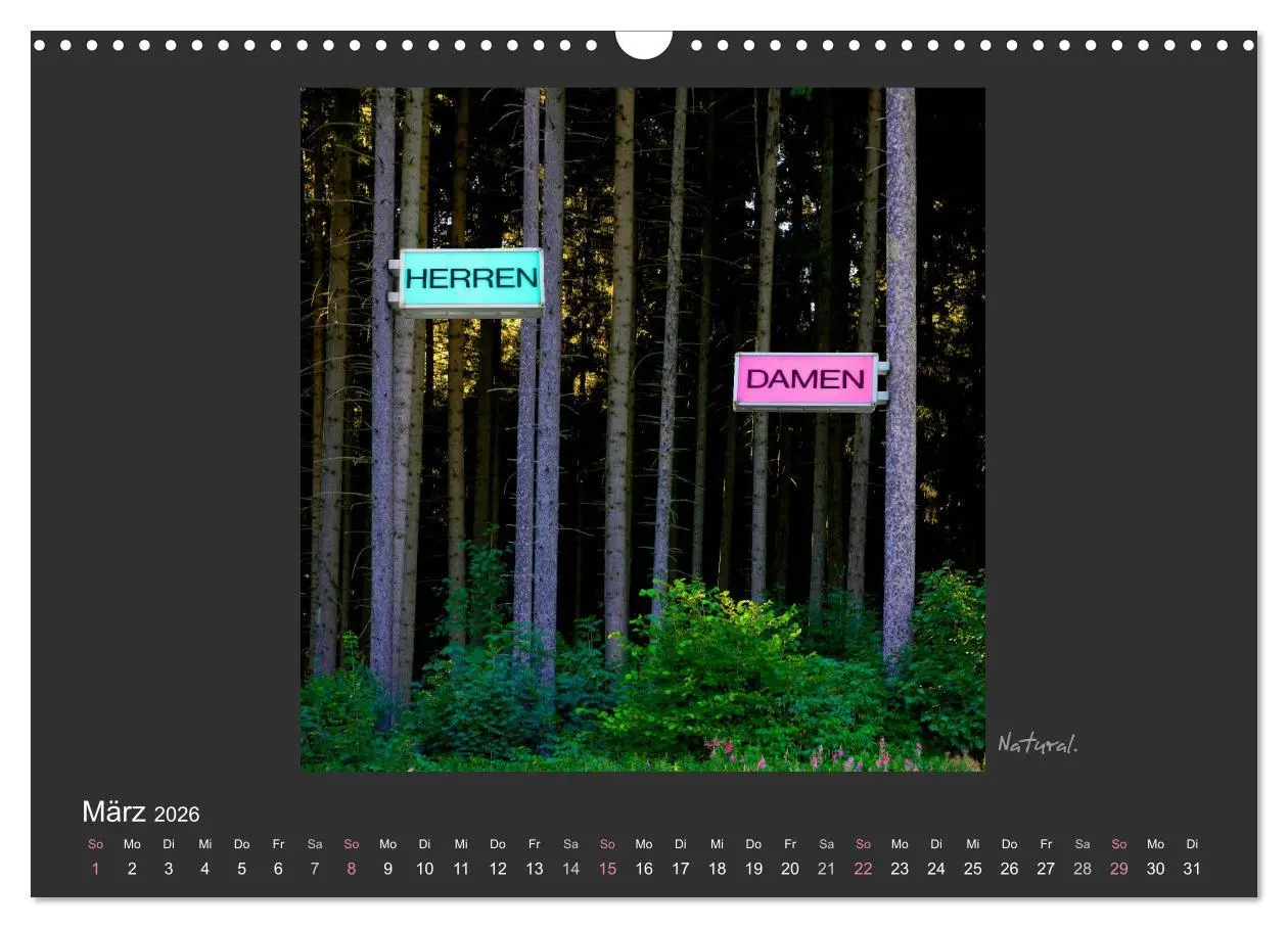 Bild: 9783516116502 | Schwarzwald. Anders. (Wandkalender 2026 DIN A3 quer), CALVENDO...