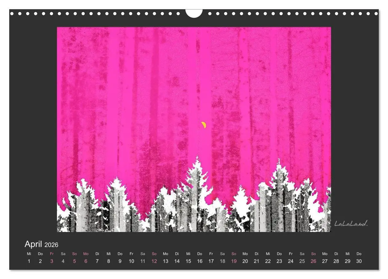 Bild: 9783516116502 | Schwarzwald. Anders. (Wandkalender 2026 DIN A3 quer), CALVENDO...