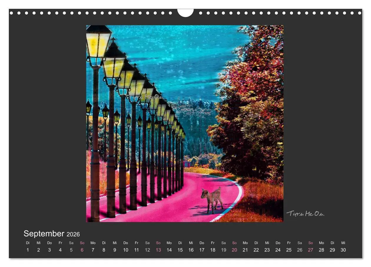 Bild: 9783516116502 | Schwarzwald. Anders. (Wandkalender 2026 DIN A3 quer), CALVENDO...
