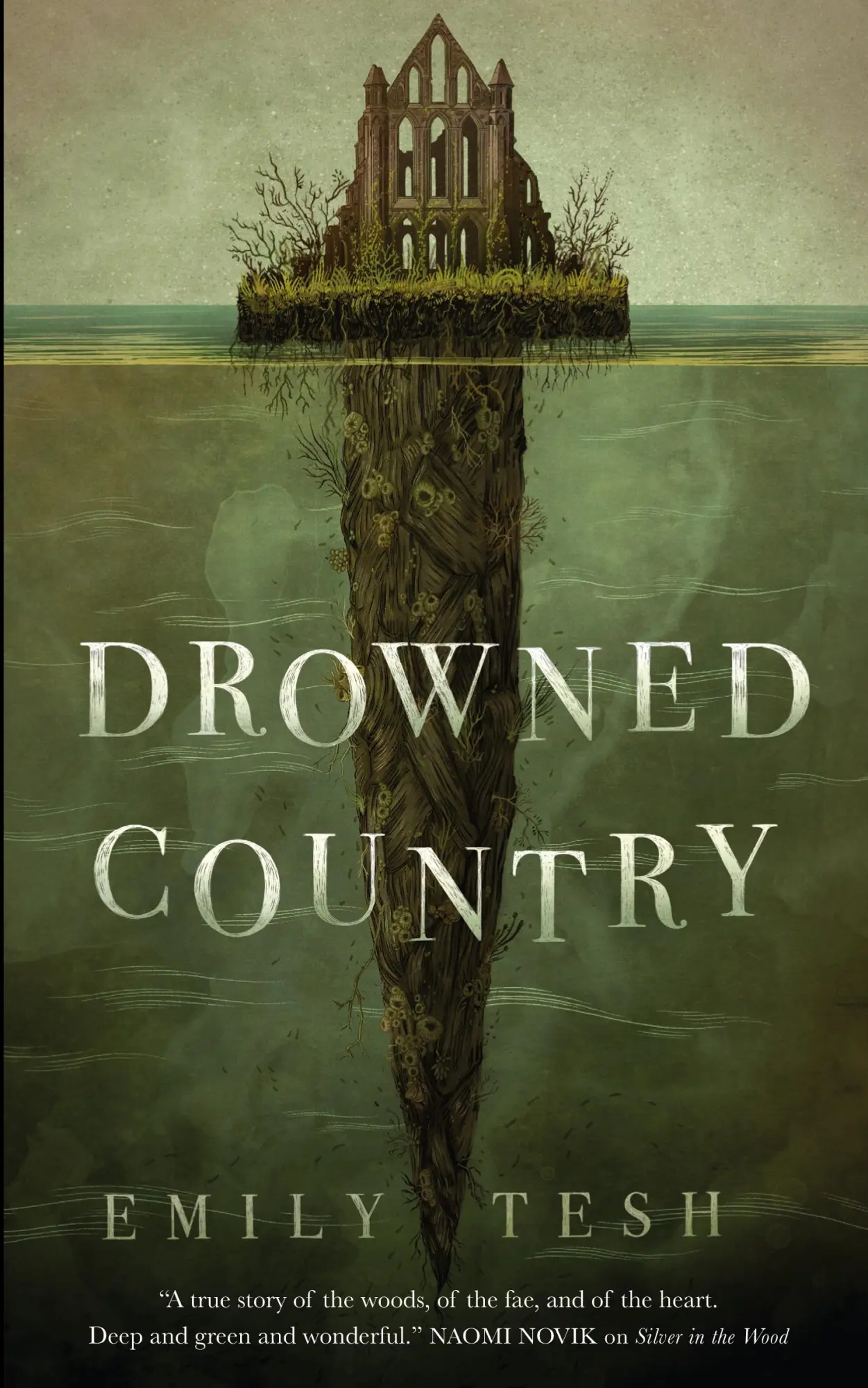 Cover: 9781250756602 | Drowned Country | Emily Tesh | Taschenbuch | Englisch | 2020