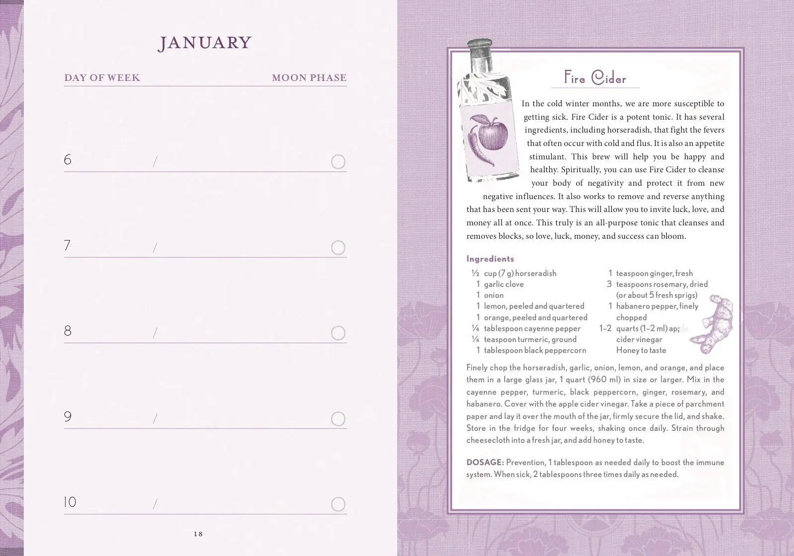 Bild: 9781454936602 | The Good Witch's Perpetual Planner | Shawn Robbins (u. a.) | Buch