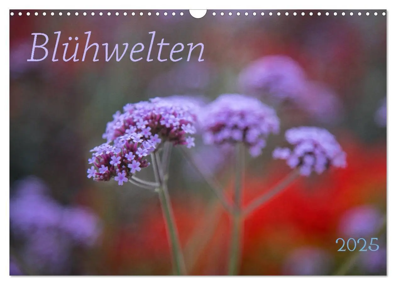 Cover: 9783435166602 | Blühwelten (Wandkalender 2025 DIN A3 quer), CALVENDO Monatskalender