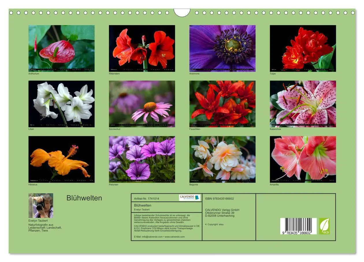 Bild: 9783435166602 | Blühwelten (Wandkalender 2025 DIN A3 quer), CALVENDO Monatskalender