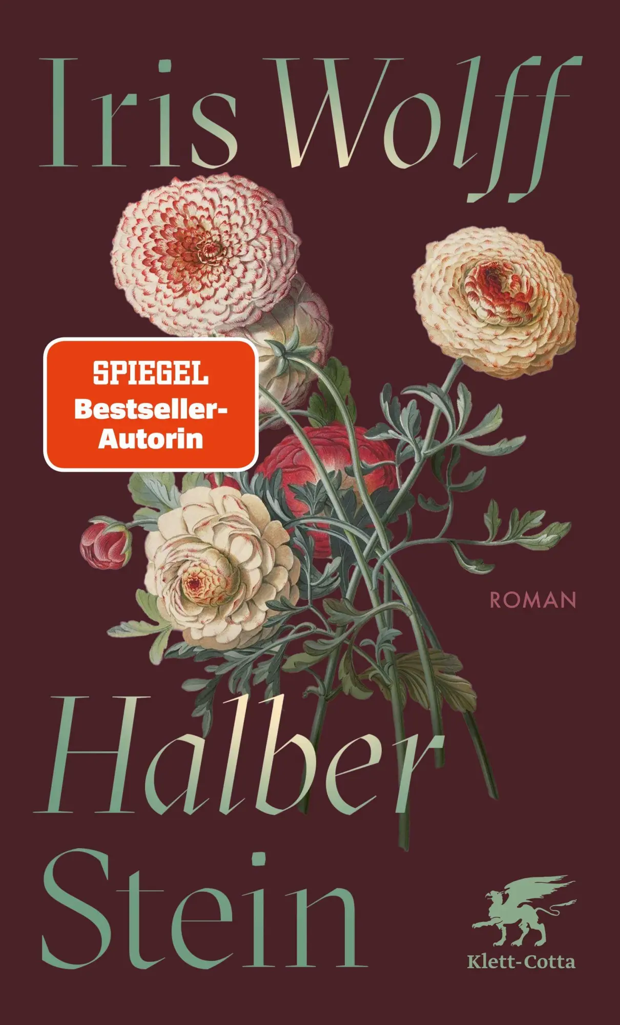 Cover: 9783608966602 | Halber Stein | Roman | Iris Wolff | Taschenbuch | 320 S. | Deutsch