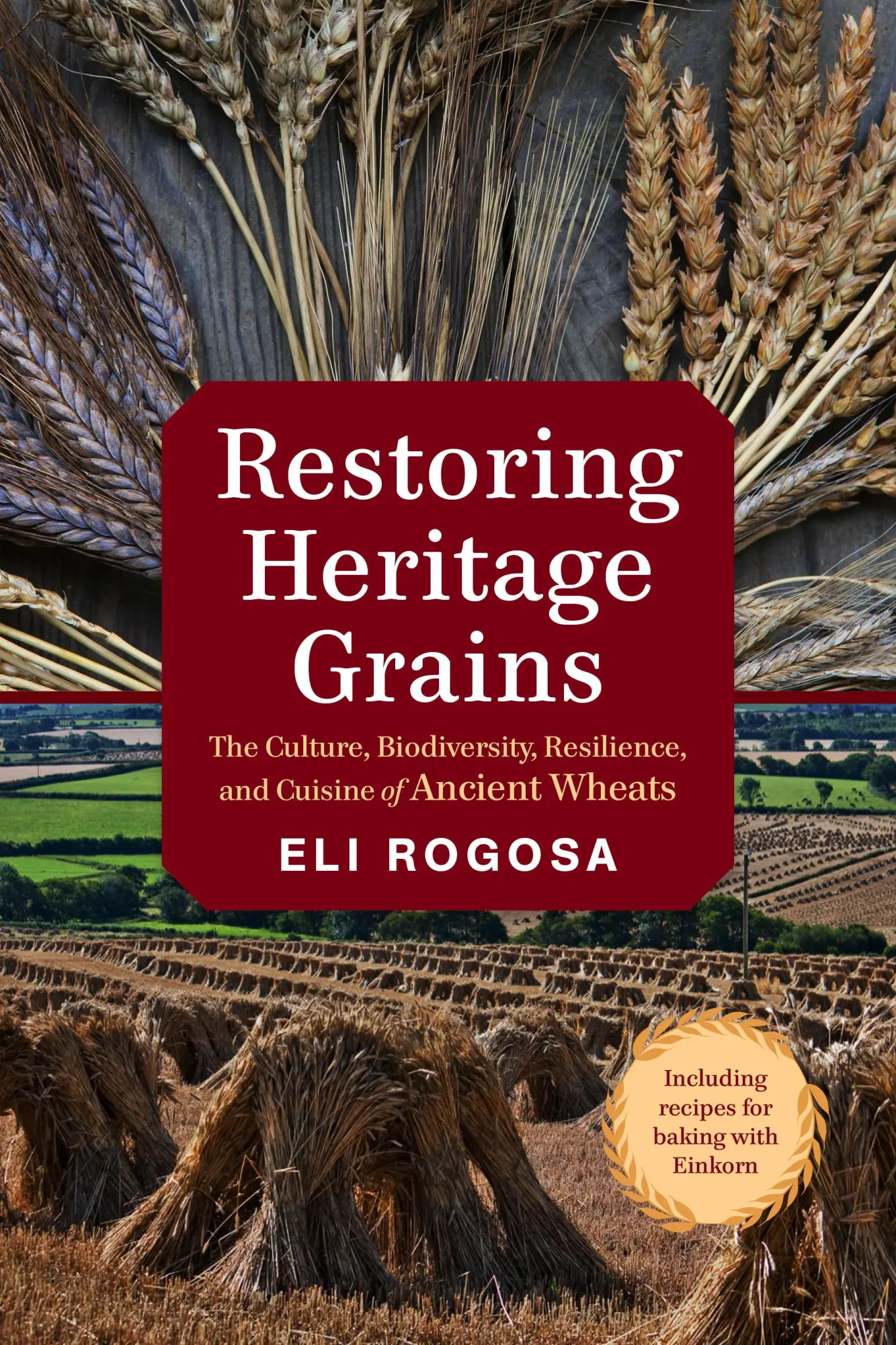 Cover: 9781603586702 | Restoring Heritage Grains | Eli Rogosa | Taschenbuch | Englisch | 2016