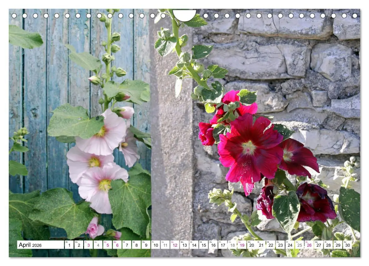 Bild: 9783457936702 | Île de Ré (Wandkalender 2026 DIN A4 quer), CALVENDO Monatskalender