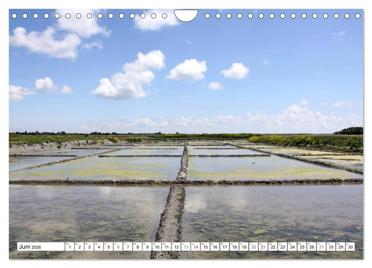 Bild: 9783457936702 | Île de Ré (Wandkalender 2026 DIN A4 quer), CALVENDO Monatskalender