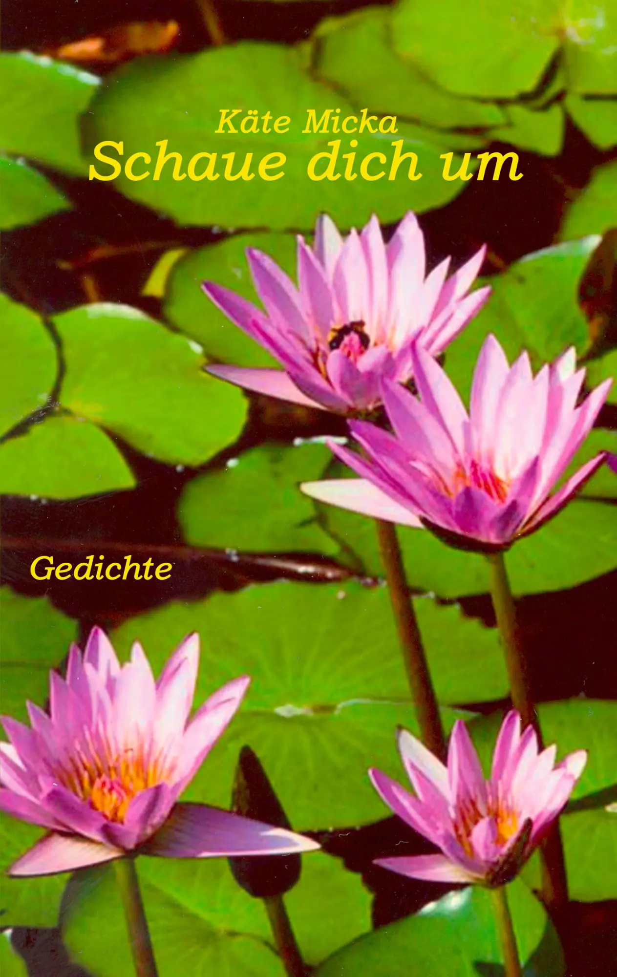 Cover: 9783833446702 | Schaue dich um | Käte Micka | Taschenbuch | 108 S. | Deutsch | 2006