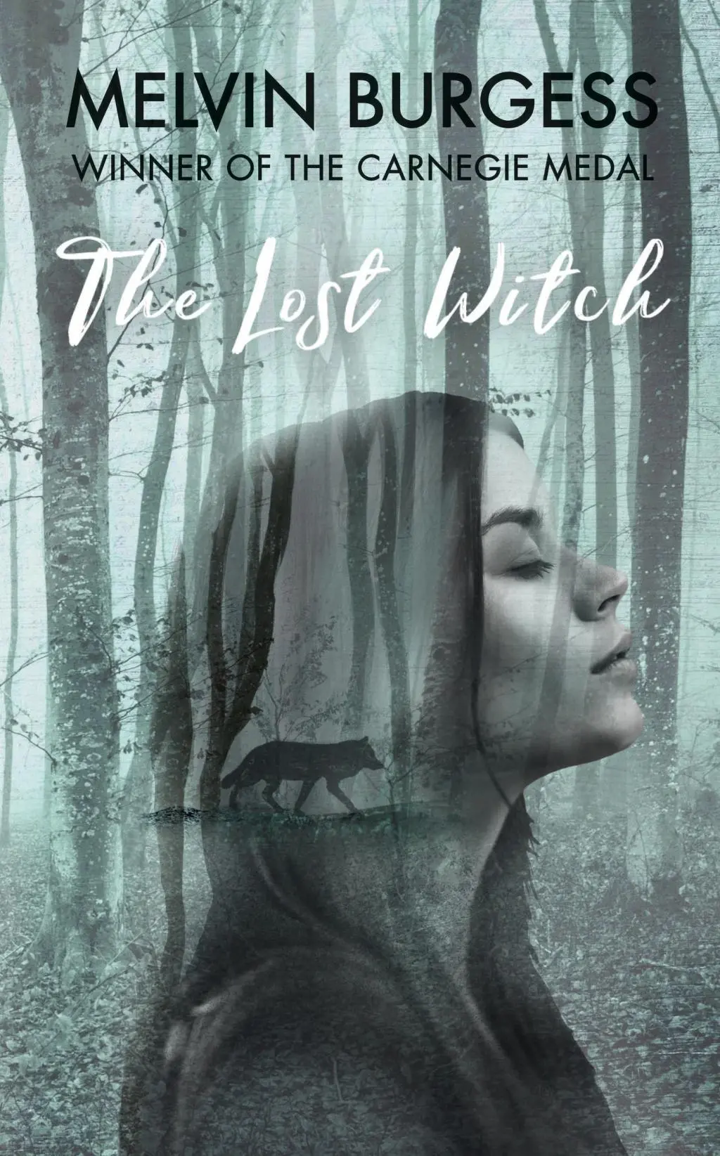 Cover: 9781783446902 | The Lost Witch | Melvin Burgess | Buch | 324 S. | Englisch | 2018