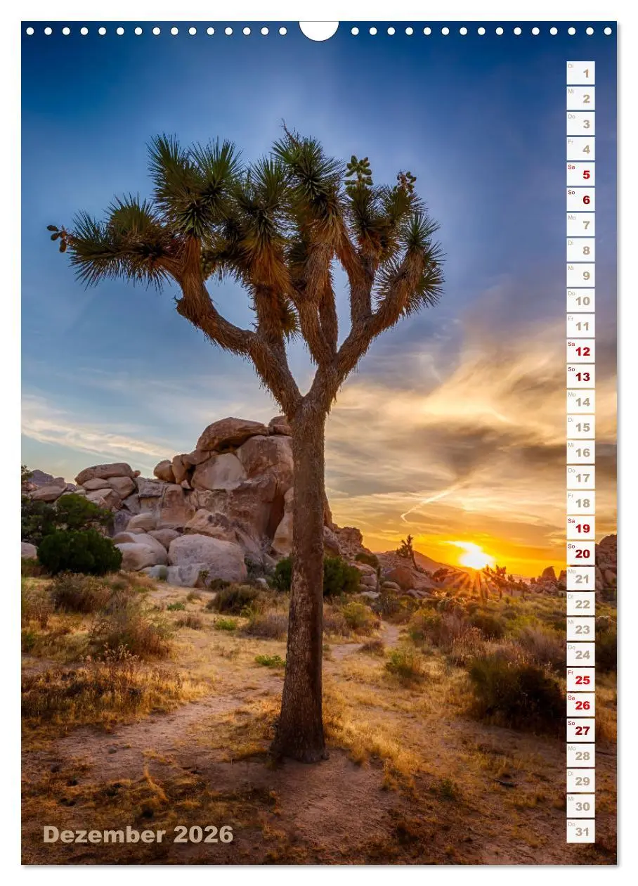 Bild: 9783516316902 | FASZINATION USA Urbanes und Naturhighlights (Wandkalender 2026 DIN...